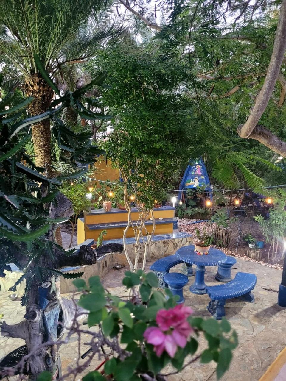Hotel Steviewonderland Playa El Yaque Esterno foto