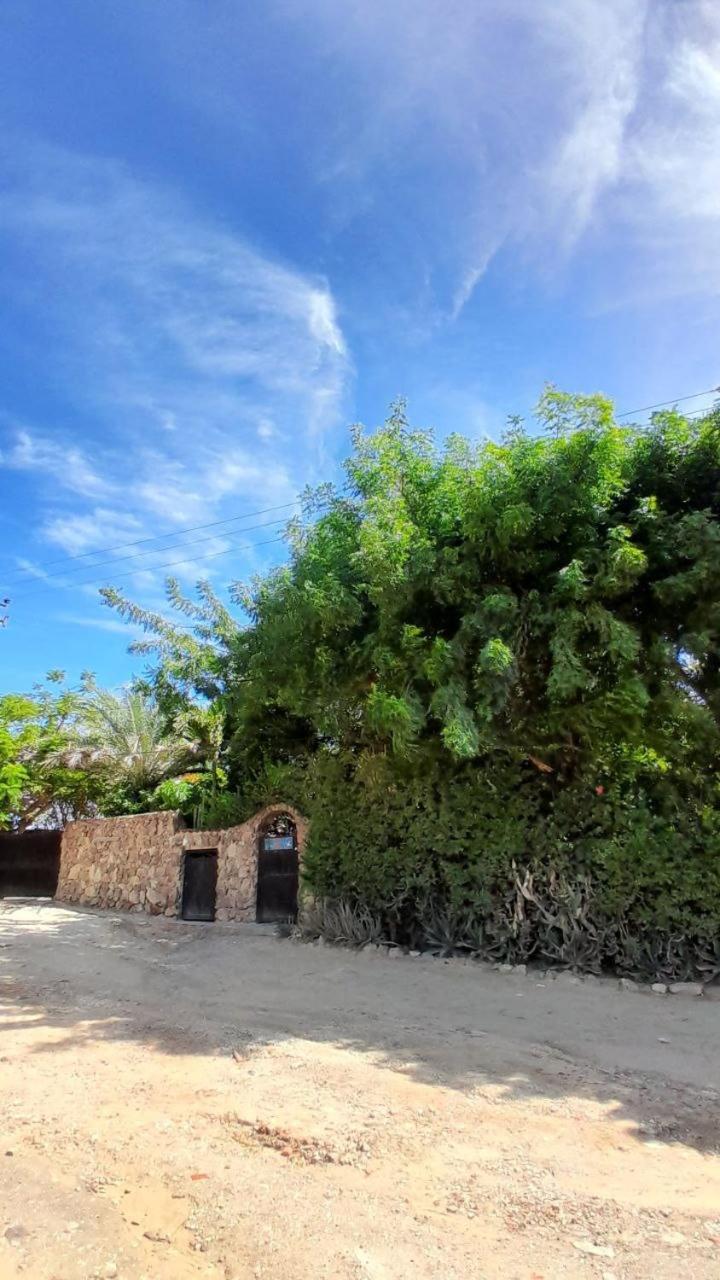 Hotel Steviewonderland Playa El Yaque Esterno foto