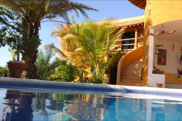 Hotel Steviewonderland Playa El Yaque Esterno foto